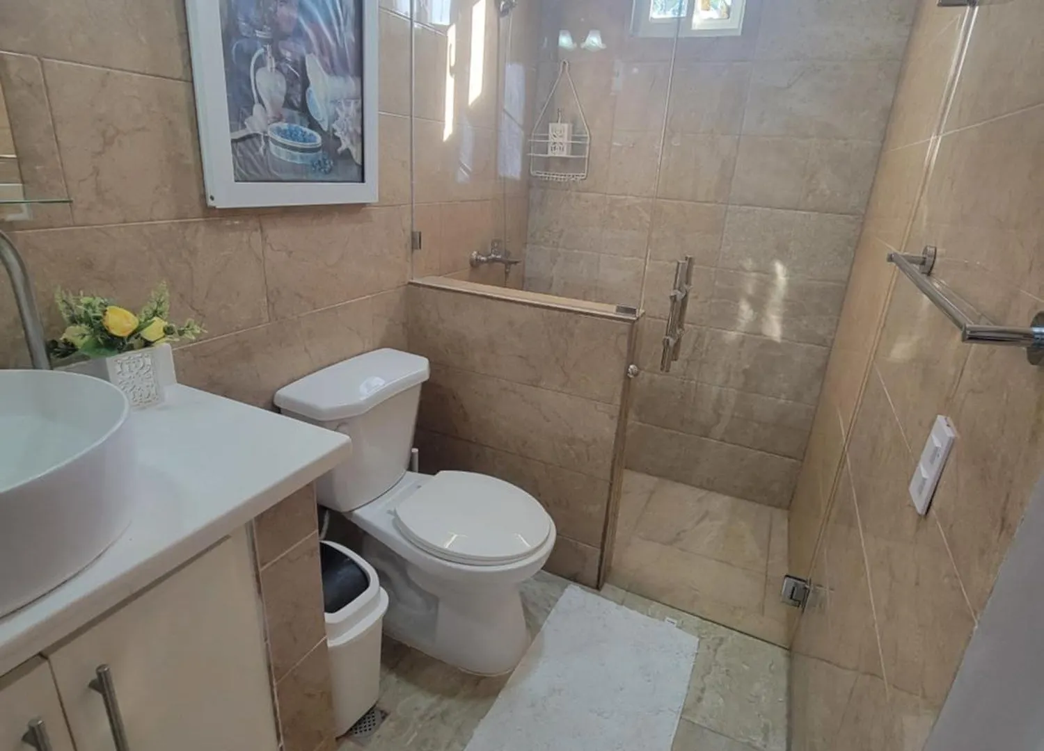 Apartamento The Omelis House Samaná